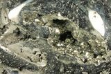 Polished Pyrite Skull With Pyritohedral Crystals #96332-1